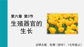 初中生物北师大版七年级上册第3节  生殖器官的生长优质课件ppt