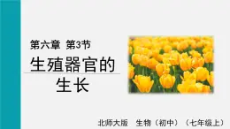 第6章绿色开花植物的生活史第3节生殖器官的生长课件