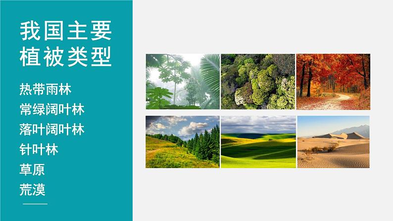 第7章绿色植物与生物圈第2节我国的植物资源课件04
