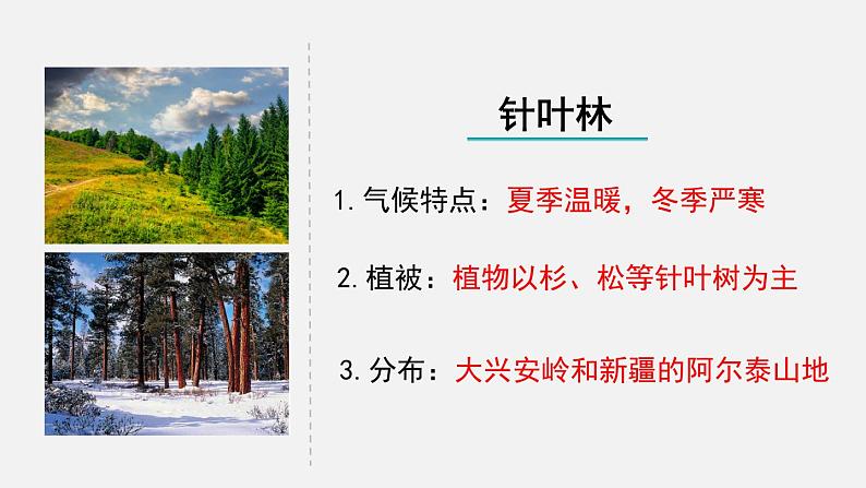 第7章绿色植物与生物圈第2节我国的植物资源课件08