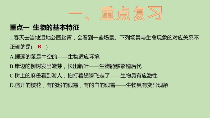 2023-2024学年六年级生物课件鲁教版（五四学制）章末复习分层提优（第一、二章）03