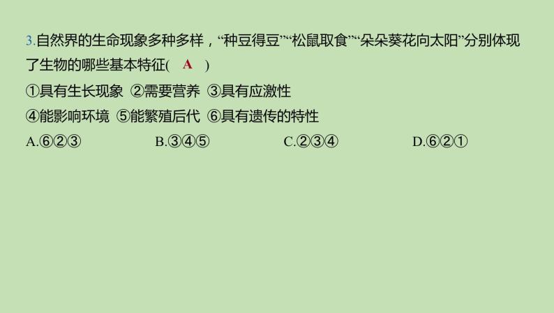 2023-2024学年六年级生物课件鲁教版（五四学制）章末复习分层提优（第一、二章）05