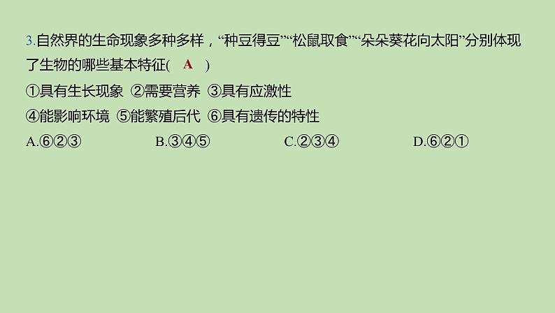 2023-2024学年六年级生物课件鲁教版(五四学制)章末复习分层提优(第一、二章)05