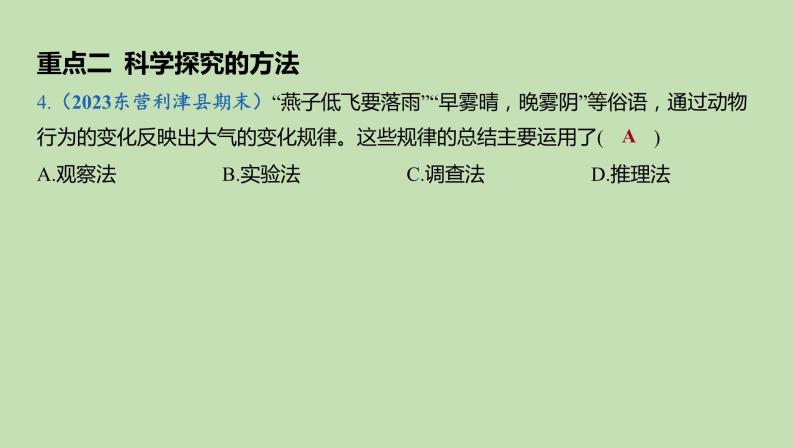 2023-2024学年六年级生物课件鲁教版（五四学制）章末复习分层提优（第一、二章）06