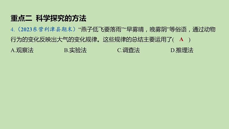 2023-2024学年六年级生物课件鲁教版(五四学制)章末复习分层提优(第一、二章)06