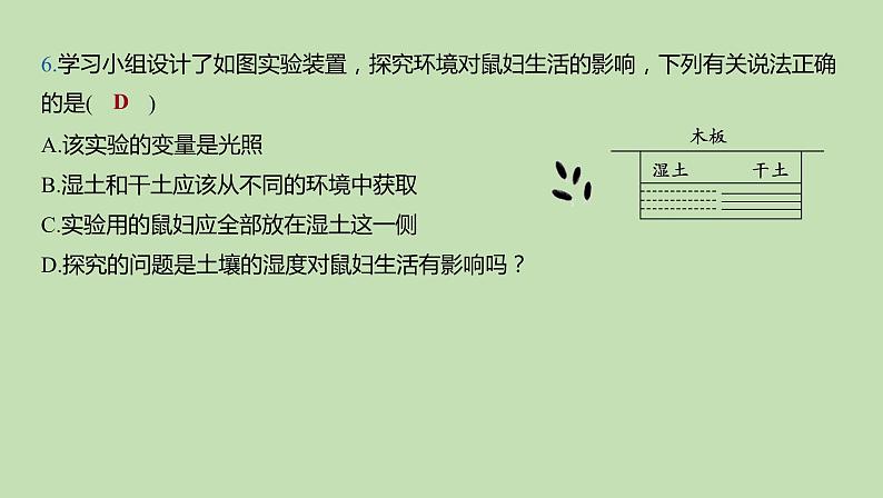 2023-2024学年六年级生物课件鲁教版(五四学制)章末复习分层提优(第一、二章)08