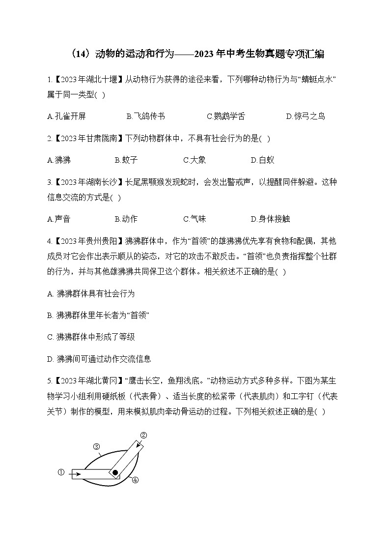 (14)动物的运动和行为——2023年中考生物真题专项汇编01