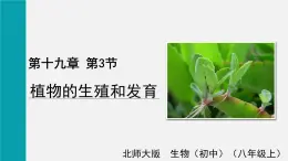 第19章生物的生殖和发育第3节植物的生殖和发育课件