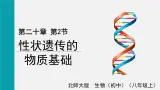 第20章生物的遗传和变异第2节性状遗传的物质基础課件