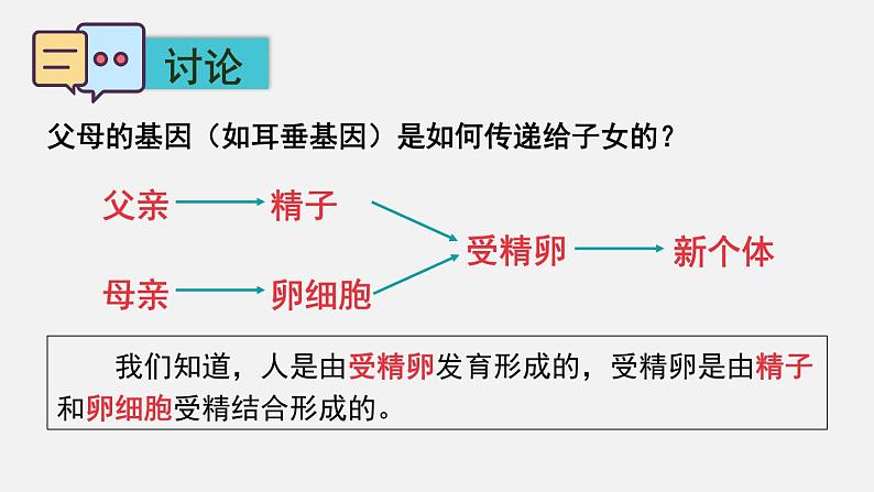 第20章生物的遗传和变异第3节性状遗传有一定的规律性课件第8页