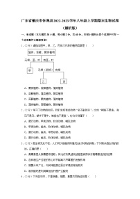 广东省肇庆市怀集县2022-2023学年八年级上学期期末生物试卷