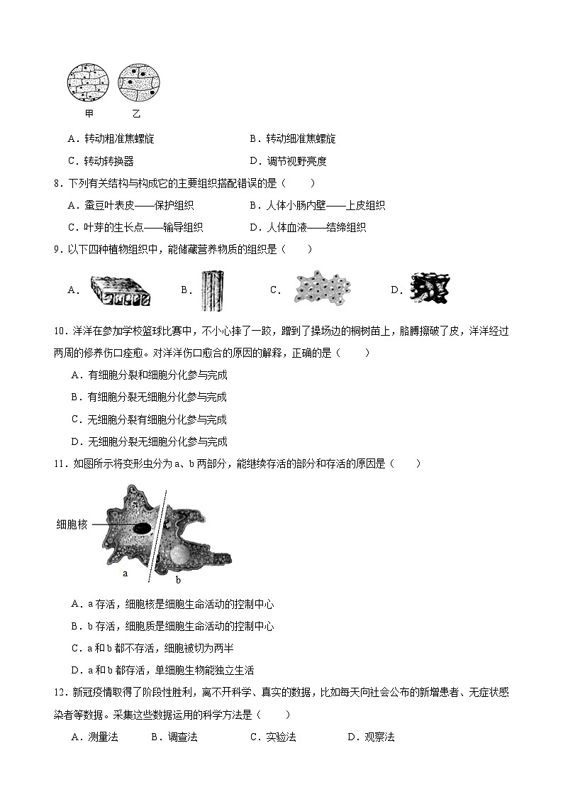 重庆市江津第二中学校2023--2024学年七年级上学期生物第一次月考试题第2页