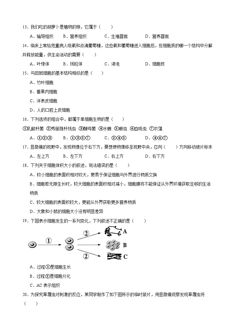 重庆市江津第二中学校2023--2024学年七年级上学期生物第一次月考试题第3页