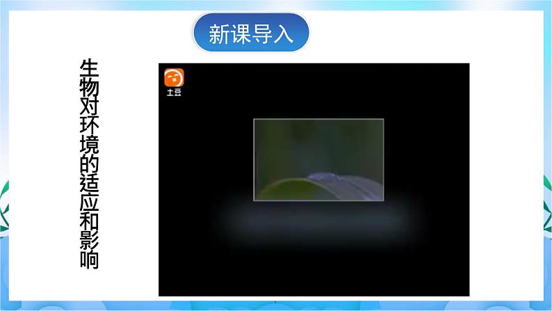 人教版七上生物 第2课时 生物因素对生物的影响 生物对环境的适应和影响第2页