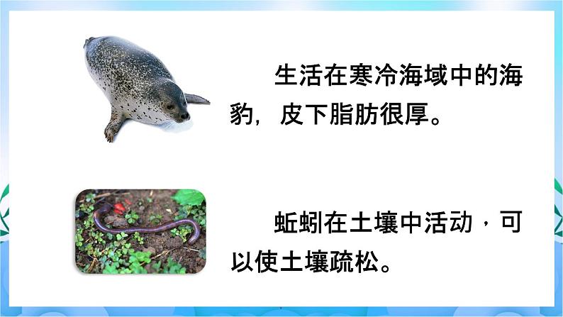 人教版七上生物 第2课时 生物因素对生物的影响 生物对环境的适应和影响第5页