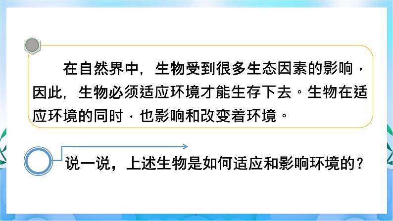 人教版七上生物 第2课时 生物因素对生物的影响 生物对环境的适应和影响第6页