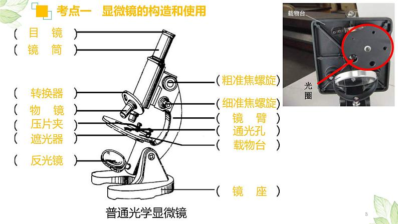 中考生物一轮复习习题精炼课件 专题02 细胞是生命活动的基本单位(含答案)第3页