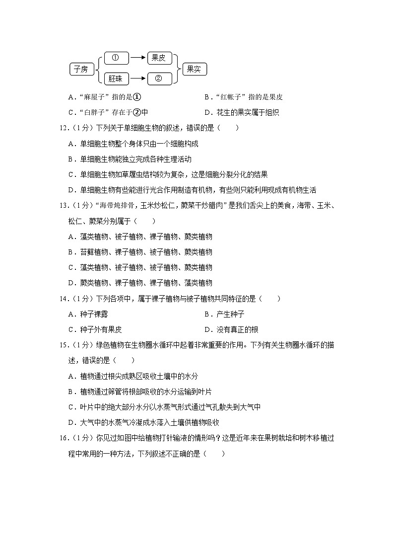 河南省开封市兰考县2022-2023学年七年级上学期期末生物试卷第3页