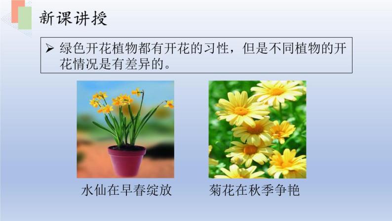 第五章绿色植物的一生第五节植物的开花和结果课件07