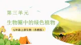 第七章绿色植物在生物圈中的作用第一节绿色植物是食物之源课件