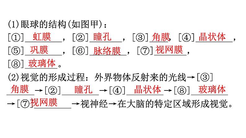 中考生物复习第四单元第六章人体生命活动的调节知识点课件第3页