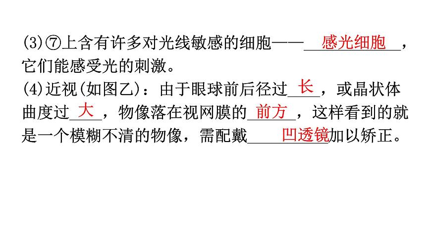 中考生物復(fù)習(xí)第四單元第六章人體生命活動(dòng)的調(diào)節(jié)知識(shí)點(diǎn)課件第4頁(yè)