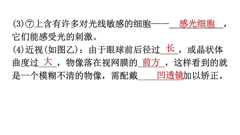 中考生物复习第四单元第六章人体生命活动的调节知识点课件第4页