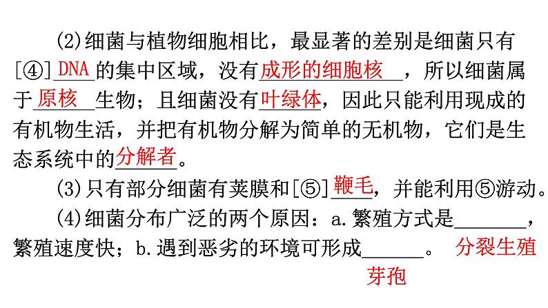 中考生物复习第五单元第四章细菌和真菌知识点课件03