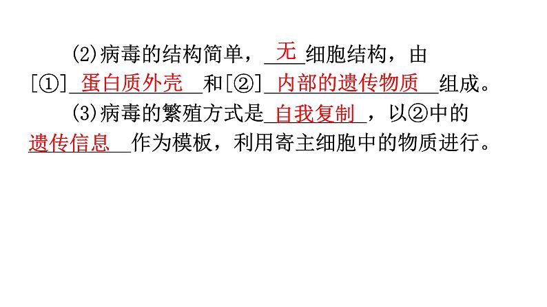 中考生物复习第五单元第五章病毒知识点课件03