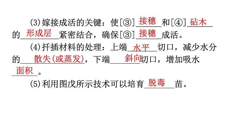 中考生物复习第七单元第一章生物的生殖和发育知识点课件04