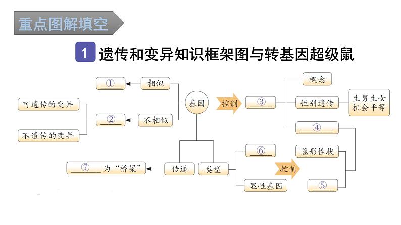 中考生物复习第七单元第二章生物的遗传与变异知识点课件02