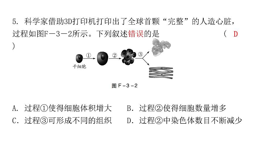 中考生物復(fù)習(xí)初中學(xué)業(yè)水平考試仿真試卷(三)課件第6頁(yè)