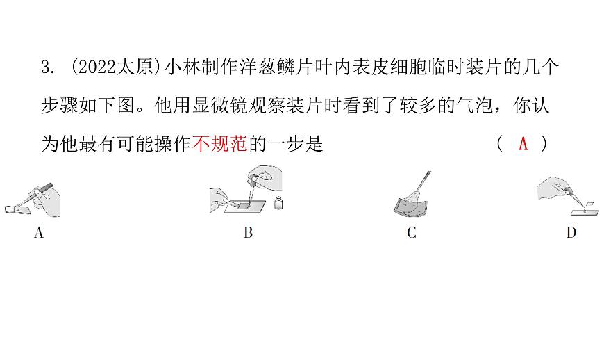 中考生物復(fù)習(xí)第二單元第一章細(xì)胞是生命活動(dòng)的基本單位課件第4頁(yè)