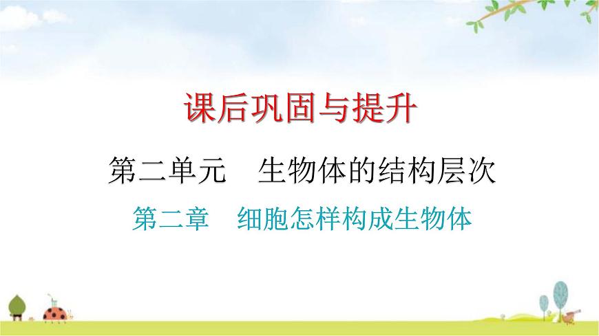 中考生物復(fù)習(xí)第二單元第二章細(xì)胞怎樣構(gòu)成生物體課件第1頁(yè)
