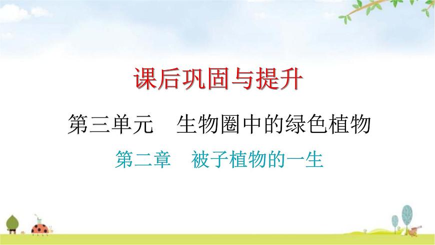 中考生物復(fù)習(xí)第三單元第二章被子植物的一生課件第1頁(yè)