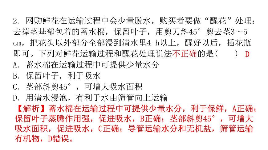 中考生物復(fù)習(xí)第三單元第三章綠色植物與生物圈的水循環(huán)課件第3頁