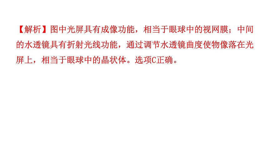 中考生物復(fù)習(xí)第四單元第六章人體生命活動的調(diào)節(jié)第七章人類活動對生物圈的影響課件第3頁