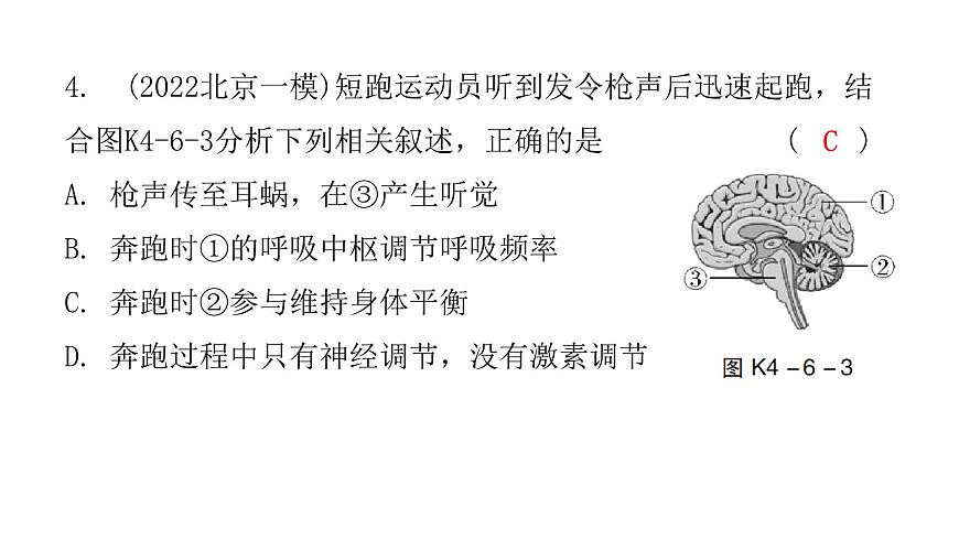 中考生物復(fù)習(xí)第四單元第六章人體生命活動的調(diào)節(jié)第七章人類活動對生物圈的影響課件第6頁
