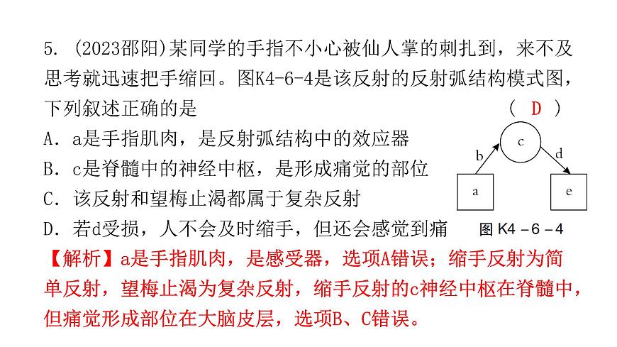 中考生物復(fù)習(xí)第四單元第六章人體生命活動的調(diào)節(jié)第七章人類活動對生物圈的影響課件第7頁