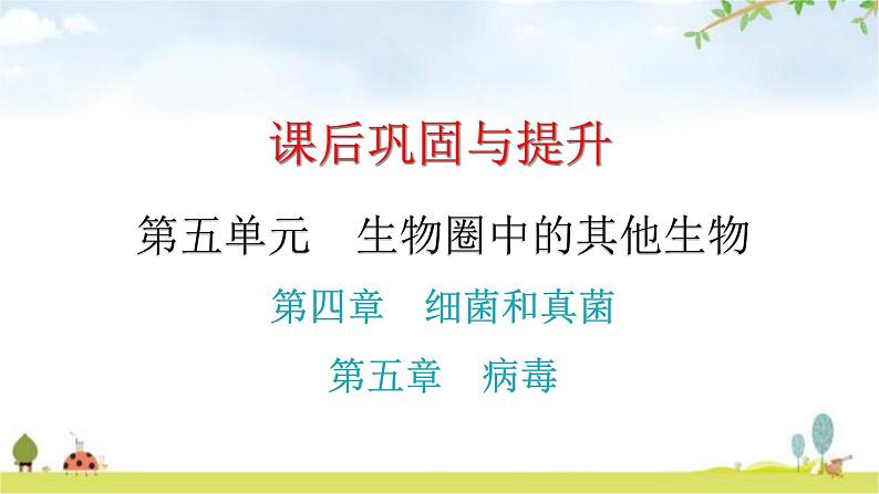 中考生物复习第五单元第四章细菌和真菌第五章病毒课件01