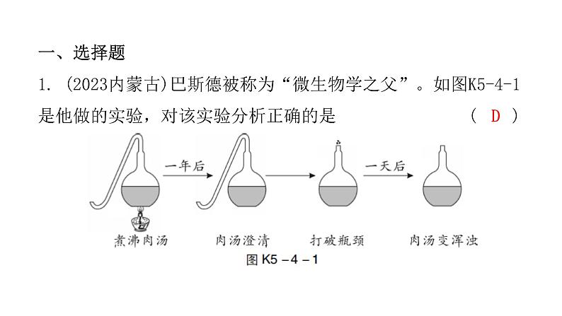 中考生物复习第五单元第四章细菌和真菌第五章病毒课件02
