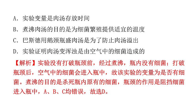 中考生物复习第五单元第四章细菌和真菌第五章病毒课件03