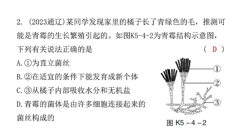 中考生物复习第五单元第四章细菌和真菌第五章病毒课件04