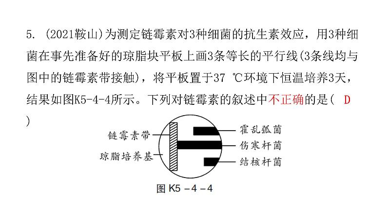 中考生物复习第五单元第四章细菌和真菌第五章病毒课件07