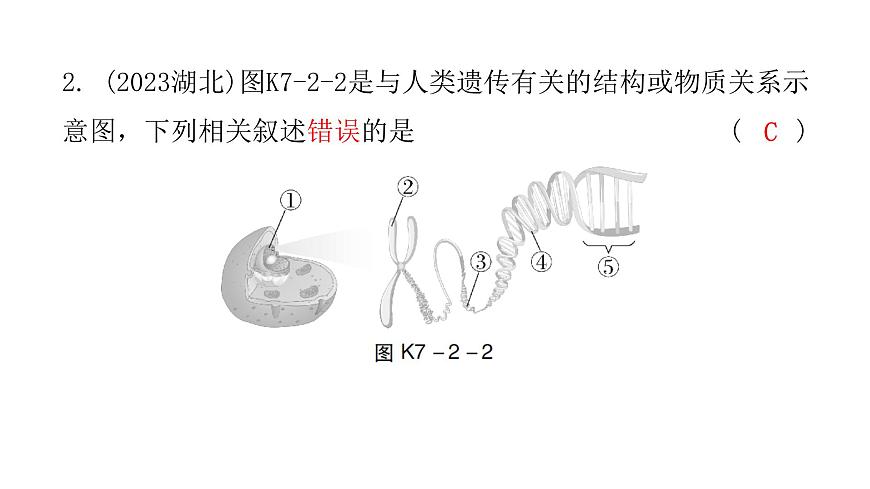 中考生物復(fù)習(xí)第七單元第二章生物的遺傳與變異課件第3頁(yè)