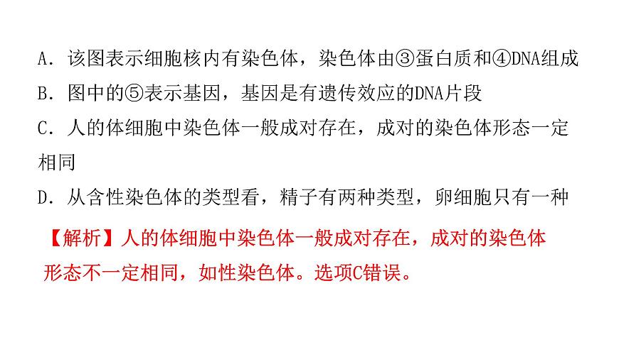 中考生物復(fù)習(xí)第七單元第二章生物的遺傳與變異課件第4頁(yè)