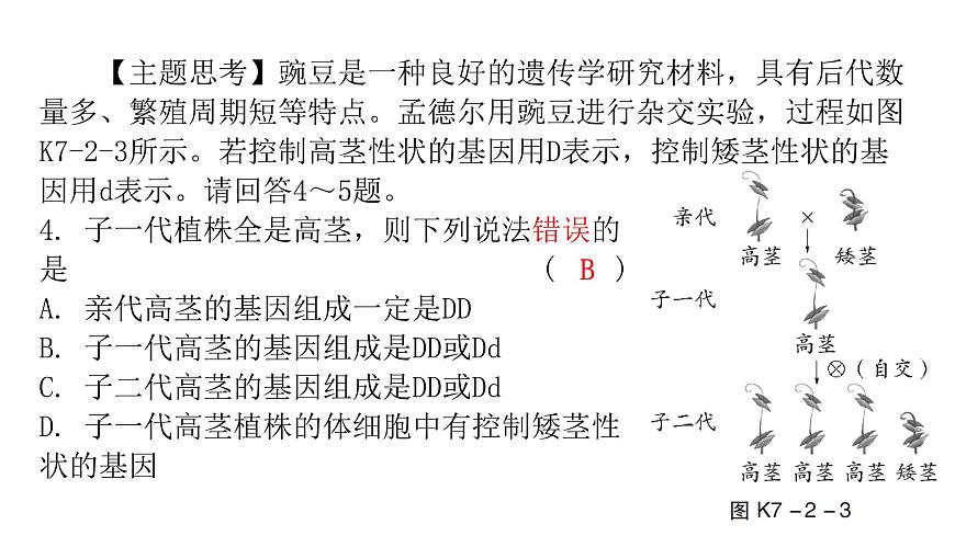 中考生物復(fù)習(xí)第七單元第二章生物的遺傳與變異課件第6頁(yè)