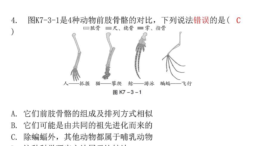 中考生物復(fù)習(xí)第七單元第三章生命起源和生物進(jìn)化課件第5頁