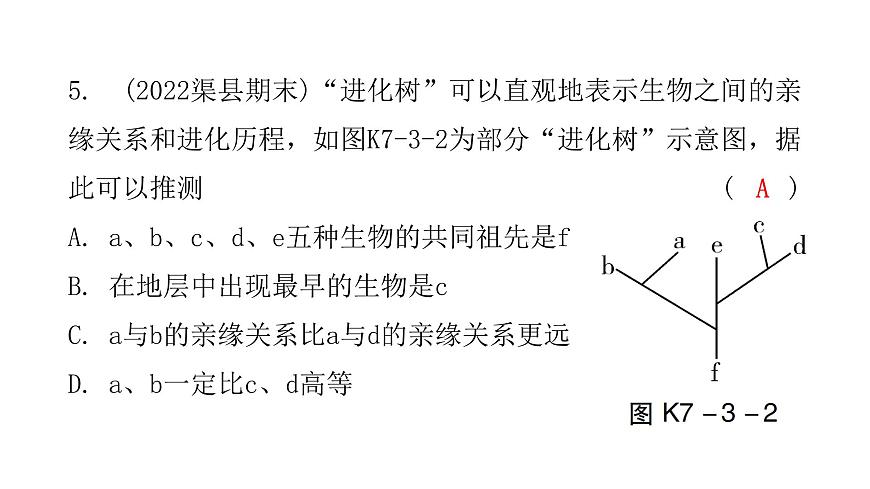 中考生物復(fù)習(xí)第七單元第三章生命起源和生物進(jìn)化課件第6頁