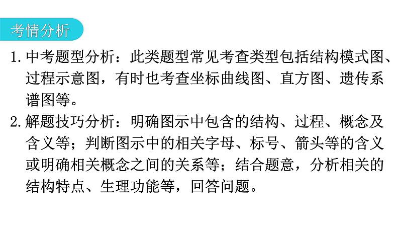 中考生物复习题型一读图理解教学课件第3页